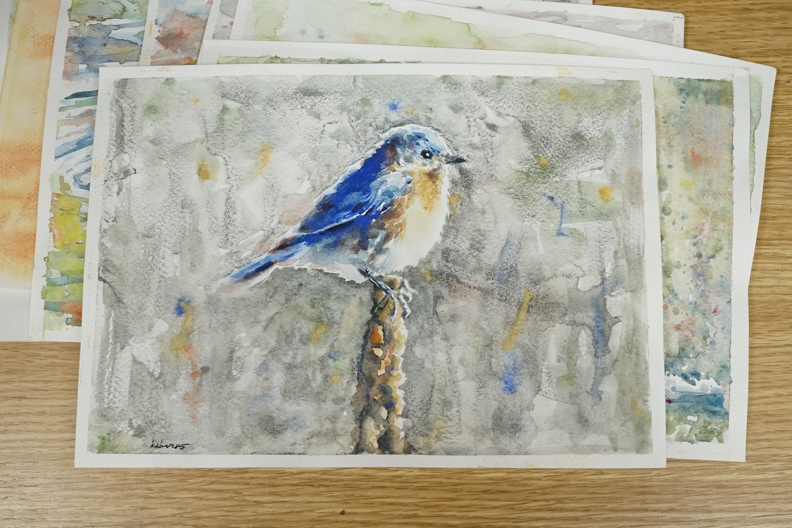 Baris Ali Kibar (Contemporary), ten watercolours on card, Wildlife to include ducks, horses, kingfisher and African wildlife, some signed, unframed, 21 x 29cm. Condition - fair